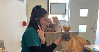 maëlle pet sitter à REZE 44400_5