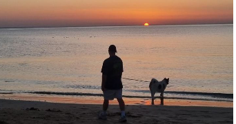 franck pet sitter à LAGORD 17140_0