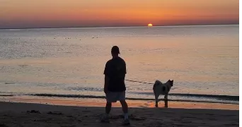 franck pet sitter à LAGORD 17140