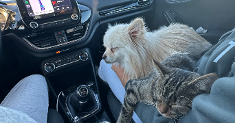 léa pet sitter à ORLEANS 45000_8