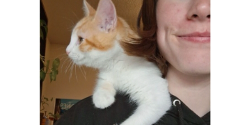 jeanne pet sitter à MARSEILLE 08 13008_1