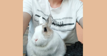 camil pet sitter à PARIS 11 75011_2