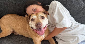 camille pet sitter à VERSAILLES 78000_1