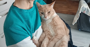 gaëtan pet sitter à GRENOBLE 38000_3