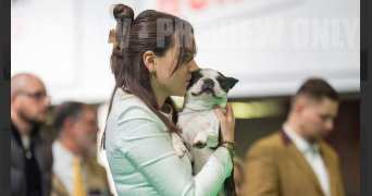 elsa pet sitter à CHALIGNY 54230_3