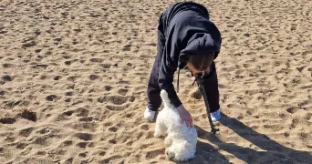 ambre dog sitter à BLAINVILLE SUR ORNE 14550