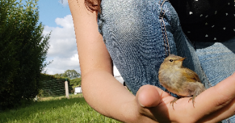 jessica pet sitter à QUETTREVILLE SUR SIENNE 50660_8