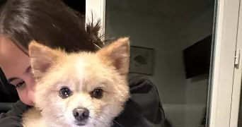 maria pet sitter à ANTONY 92160