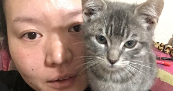 jina cat sitter à NOISIEL 77186_1