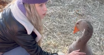 jeanne pet sitter à CHAMBERY 73000_4