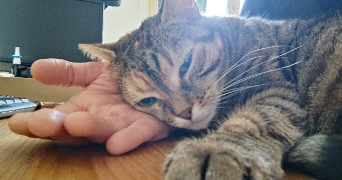 olivier pet sitter à VANVES 92170_2