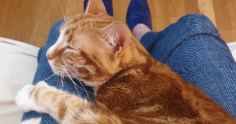 jérômine pet sitter à VANVES 92170_4