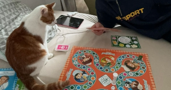 sofia pet sitter à LILLE 59000_4