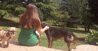 emma pet sitter à TOULOUSE 31400_1