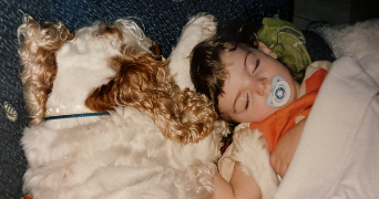 isalis dog sitter à PARIS 01 75001_2