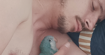 océane pet sitter à LABARTHE SUR LEZE 31860_7