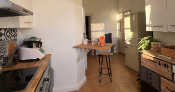 léa pet sitter à ST MALO 35400_1