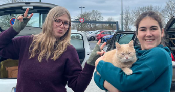 mathilde pet sitter à CARQUEFOU 44470_2