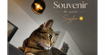 benjamin pet sitter à PONTAULT COMBAULT 77340_6