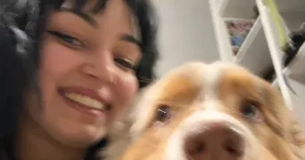 wissal pet sitter à Argenteuil 95100