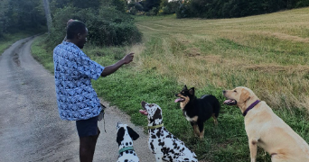 jose pet sitter à ST CYR SUR LOIRE 37540_2