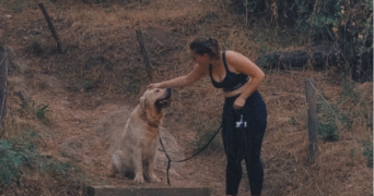 joanna pet sitter à ROUEN 76000_1