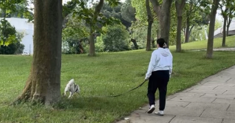 elodie pet sitter à CLERMONT FERRAND 63100_6