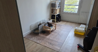 marie pet sitter à VILLENAVE D ORNON 33140_2