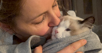 dehia  pet sitter à LILLE 59000_2