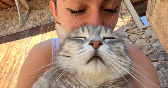 erine cat sitter à LYON 07 69007_3