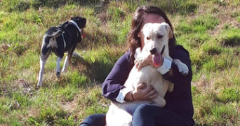 mélanie pet sitter à ESSARTS EN BOCAGE 85140_0