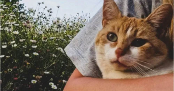 laura pet sitter à RENNES 35200_4