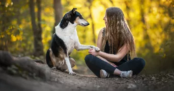 marion pet sitter à BILLOM 63160
