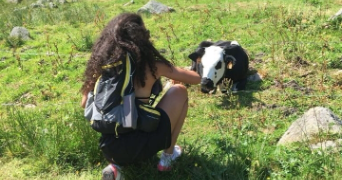 myriam pet sitter à LE PRE ST GERVAIS 93310_5