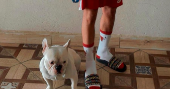 hakim pet sitter à BEZONS 95870_2