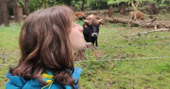 jade pet sitter à NANTES 44000