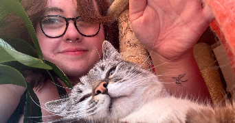 charlie cat sitter à LILLE 59260_3