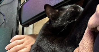 appolline pet sitter à TARGON 33760_2