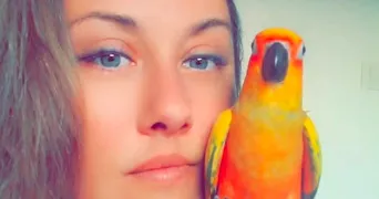 aurélie pet sitter à MACAU 33460
