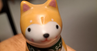 quentin pet sitter à NIORT 79000_1