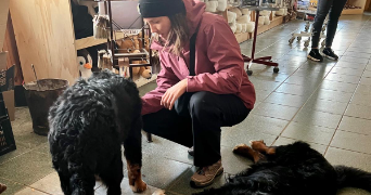 marion pet sitter à PARIS 20 75020_1