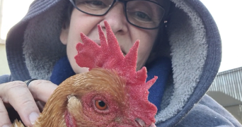 pascale pet sitter à DELLE 90100_1