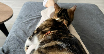 manon pet sitter à CERGY 95000_3