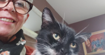 dominique pet sitter à BAZAS 33430_7