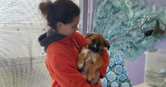 chloé pet sitter à VILLEURBANNE 69100_3