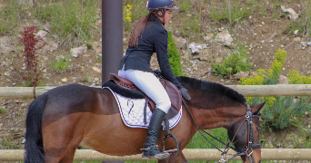 alyssa pet sitter à THONES 74230_3