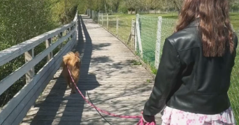 nina pet sitter à ST AUBIN LES ELBEUF 76410_2