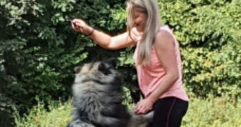 julie pet sitter à MULHOUSE 68100_4