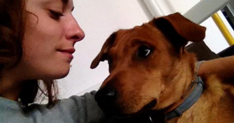 héléna dog sitter à SIGEAN 11130_3