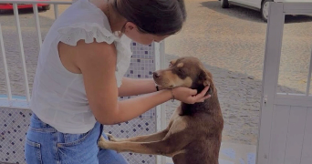 coralie pet sitter à LILLE 59260_3